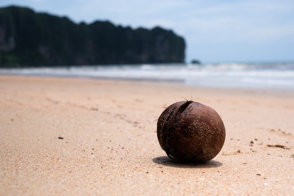 I stood and stared at this coconut for longer than a sane person should. I thought it was amazing that we were somewhere where coconuts just fall onto the beach!